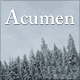 Acumen: Magento theme